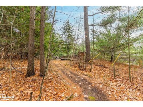 1012 Parasol Drive, Algonquin Highlands, ON - Outdoor With View