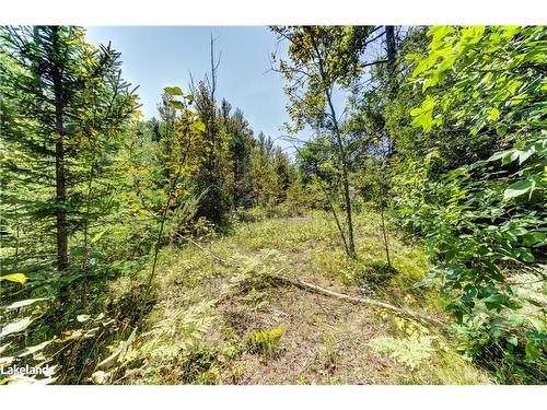 Lot 55 55Th Street S, Wasaga Beach, ON 