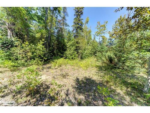 Lot 55 55Th Street S, Wasaga Beach, ON 