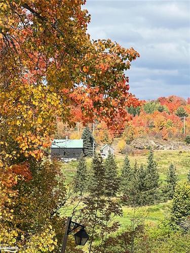 231 Grandview/Hilltop Drive, Huntsville, ON - Outdoor With View