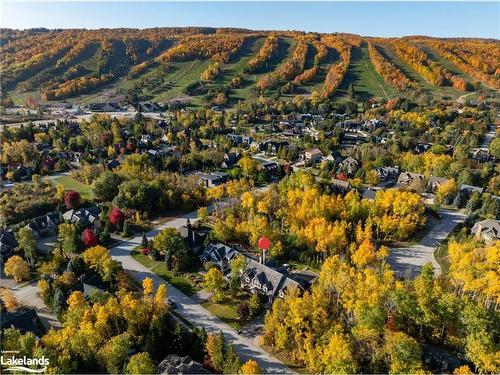 114 Innsbruck Lane, The Blue Mountains, ON - Outdoor With View