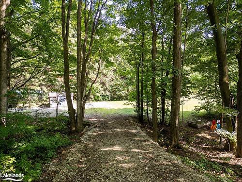 245596 22 Side Road, Meaford, ON - Outdoor