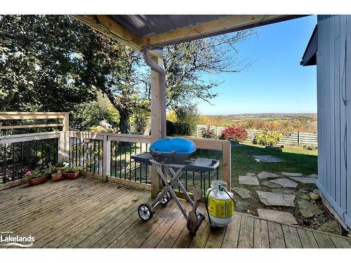 46447 Old Mail Road, Meaford, ON - Outdoor With Deck Patio Veranda