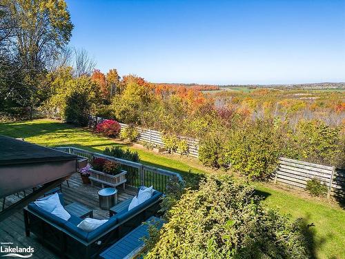 46447 Old Mail Road, Meaford, ON - Outdoor With View