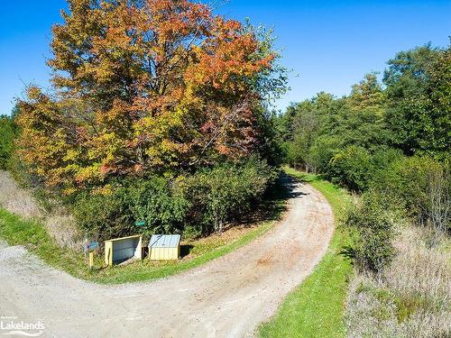 46447 Old Mail Road, Meaford, ON - Outdoor