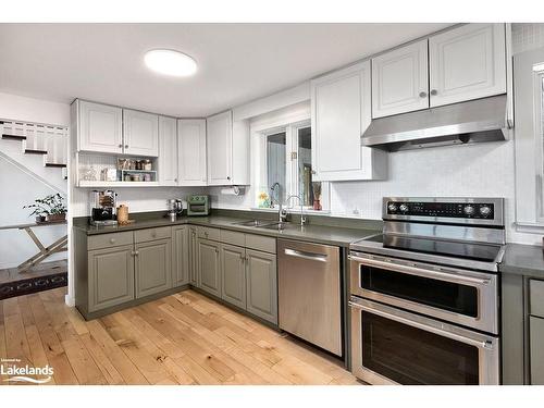 46447 Old Mail Road, Meaford, ON - Indoor Photo Showing Kitchen With Double Sink