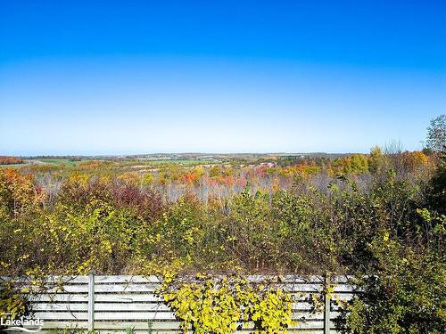 46447 Old Mail Road, Meaford, ON - Outdoor With View