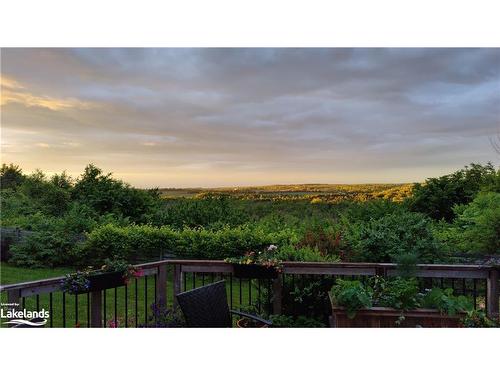 46447 Old Mail Road, Meaford, ON - Outdoor With View