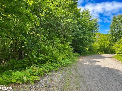 Lot 6 Kribs Road, Magnetawan, ON 