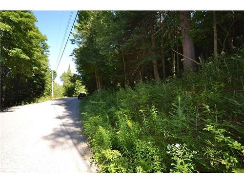 0 Fred Jones Road, Haliburton, ON 