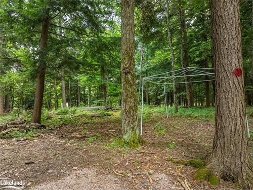 131 Moonwing Road, Magnetawan, ON 