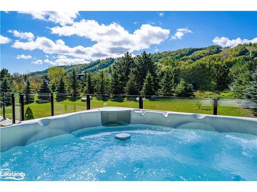 143 Wyandot Court, The Blue Mountains, ON - Outdoor With Above Ground Pool