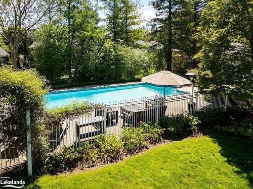 145 Bruce Street S, Thornbury, ON - Outdoor With In Ground Pool With Backyard