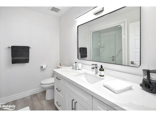 121 Dove Drive, Thornbury, ON - Indoor Photo Showing Bathroom