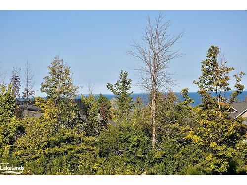 154 Landry Lane, Thornbury, ON - Outdoor With View