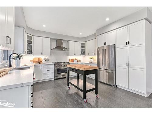 31 Gilpin Crescent, Collingwood, ON - Indoor Photo Showing Kitchen With Stainless Steel Kitchen With Double Sink With Upgraded Kitchen