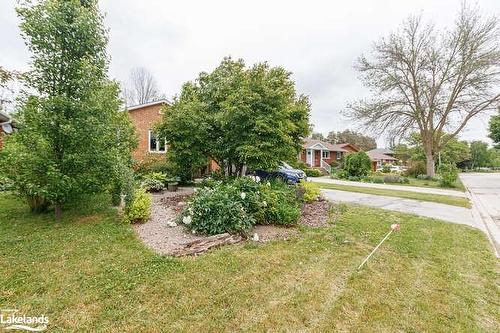 96 Lockhart Road, Collingwood, ON - Outdoor