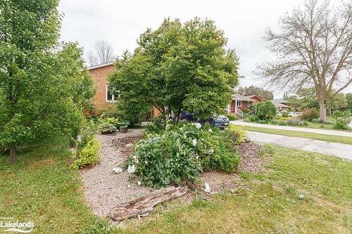 96 Lockhart Road, Collingwood, ON - Outdoor