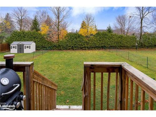 41 Tracey Lane, Collingwood, ON - Outdoor With Backyard