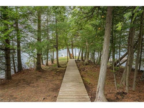 3-4 Mb Henry Island, Gravenhurst, ON - Outdoor With View