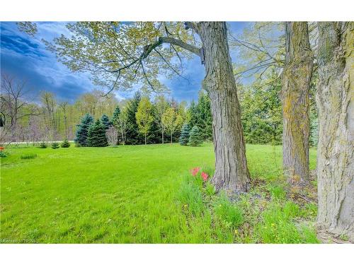 3734 Bridge Street, Wilmot Township, ON - Outdoor With View