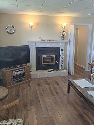 554 Road 5 S, Conestogo Lake, ON - Indoor Photo Showing Living Room With Fireplace