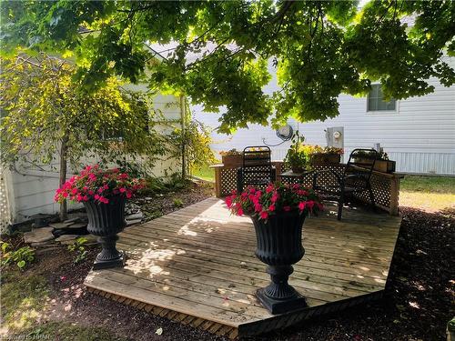 19 George Street, Strathroy, ON - Outdoor With Deck Patio Veranda