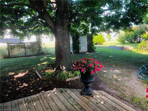 19 George Street, Strathroy, ON - Outdoor With Deck Patio Veranda