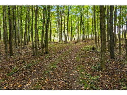 5481 Wellington Road 2, Minto Twp, ON - Outdoor With View