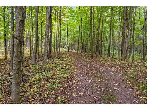 5481 Wellington Road 2, Minto Twp, ON - Outdoor With View