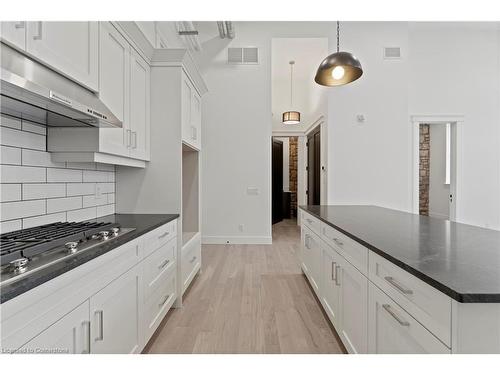 204-247 Brock Street, Amherstburg, ON - Indoor Photo Showing Kitchen With Upgraded Kitchen