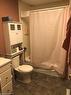 536 Princess Street, Woodstock, ON  - Indoor Photo Showing Bathroom 