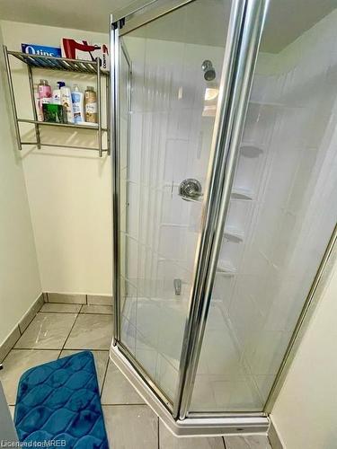 121 West 5Th Street, Hamilton, ON - Indoor Photo Showing Bathroom