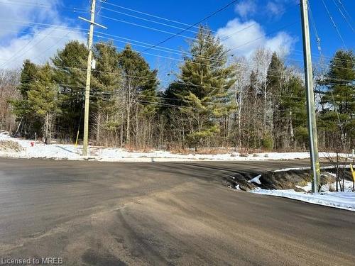 17 Kirkhill Drive, Bracebridge, ON 