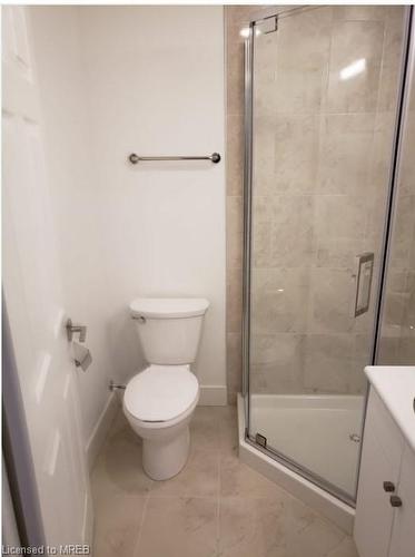 413-1 Wellington Street, Brantford, ON - Indoor Photo Showing Bathroom