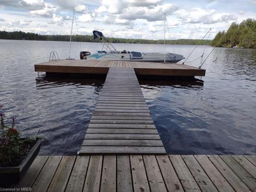 191 Beaver Lake Drive, Trent Lakes, ON - Outdoor With Body Of Water