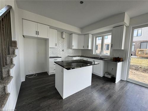 175 Blackbird Way, Hamilton, ON - Indoor Photo Showing Kitchen With Upgraded Kitchen