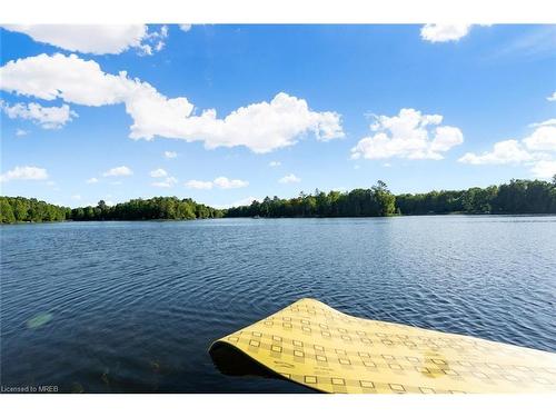 25 Fire Route 296, Trent Lakes, ON - Outdoor With Body Of Water With View