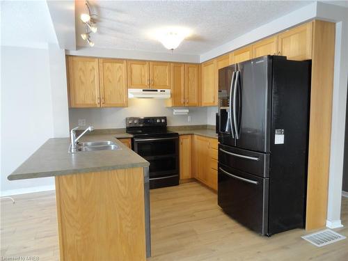 16 Chantilly Street, Kitchener, ON - Indoor Photo Showing Kitchen With Double Sink