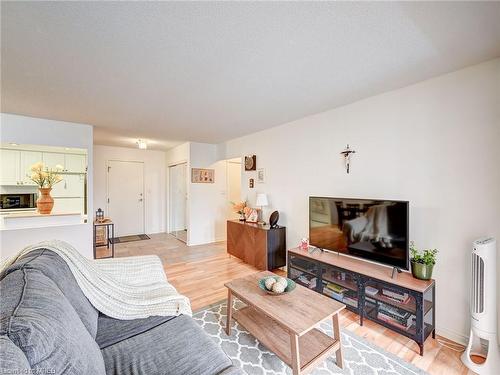 209-135 Hillcrest Avenue, Mississauga, ON - Indoor Photo Showing Living Room