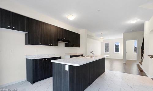 233 Gillespie Drive, Brantford, ON - Indoor Photo Showing Kitchen With Double Sink
