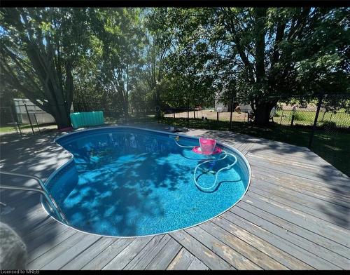 375 Ogemah Road, Little Britain, ON - Outdoor With In Ground Pool With Backyard