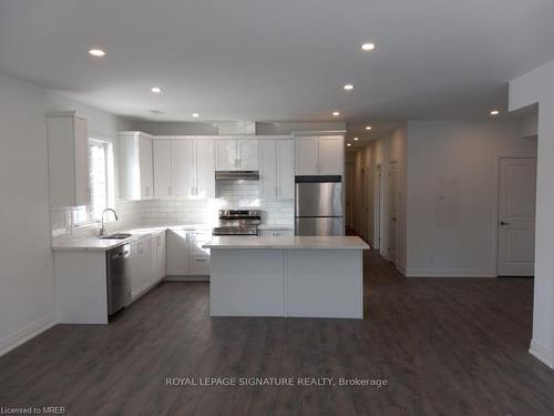 168 Alma Street, Rockwood, ON - Indoor Photo Showing Kitchen With Upgraded Kitchen