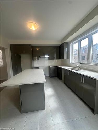 0046 Shellard Lane, Brantford, ON - Indoor Photo Showing Kitchen With Double Sink