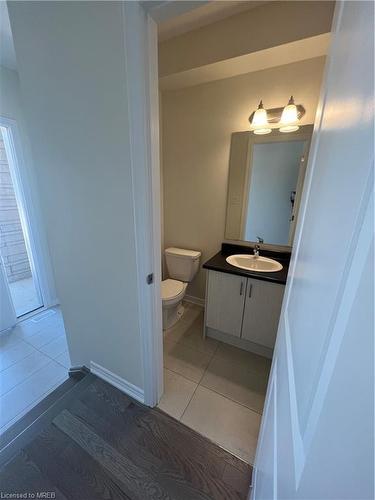 17 Molnar Crescent, Brantford, ON - Indoor Photo Showing Bathroom