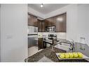 1002-60 Absolute Avenue, Mississauga, ON  - Indoor Photo Showing Kitchen With Double Sink 