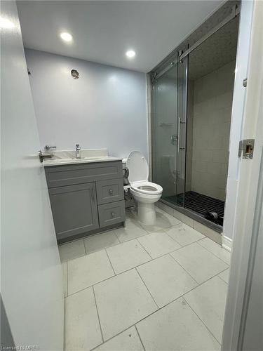251 Skinner Road Road, Hamilton, ON - Indoor Photo Showing Bathroom