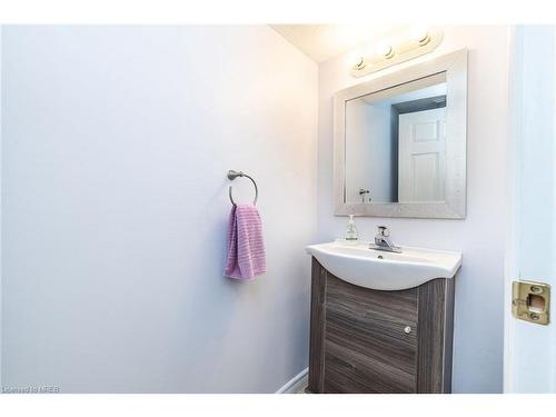 24 Mountain Laurel Crescent, Kitchener, ON - Indoor Photo Showing Bathroom
