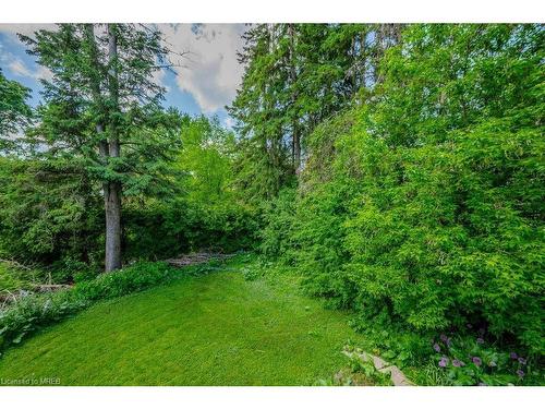 45 Caledonia Street, Guelph, ON - Outdoor