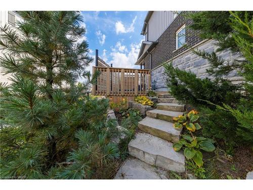 248 Tall Grass Crescent, Kitchener, ON - Outdoor